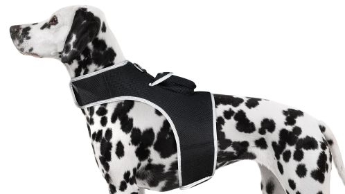 Pocket Waterproof Collar Mount GSM Puppy GPS Realtime Tracking Device Size:L