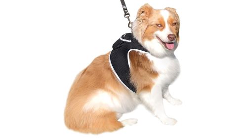 GPS GSM Pocket Pet Tracking Device Waterproof Tracker USB Rechargeable Size:M